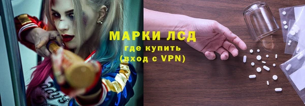 крисы Кулебаки