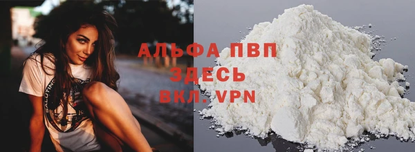 крисы Кулебаки