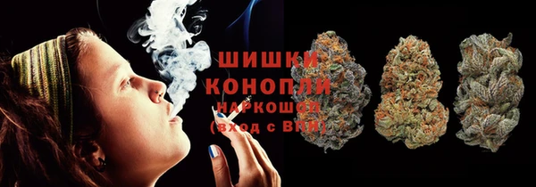 крисы Кулебаки