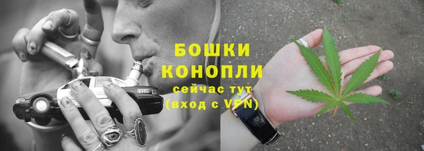 крисы Кулебаки