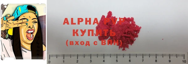 крисы Кулебаки