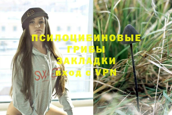 мяу мяу мука Кукмор