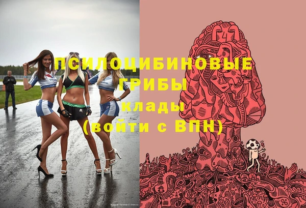 крисы Кулебаки