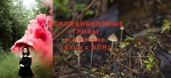 крисы Кулебаки