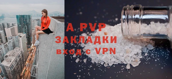 крисы Кулебаки