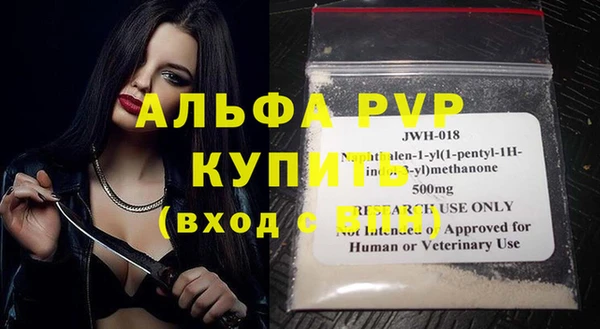 сатива Елабуга