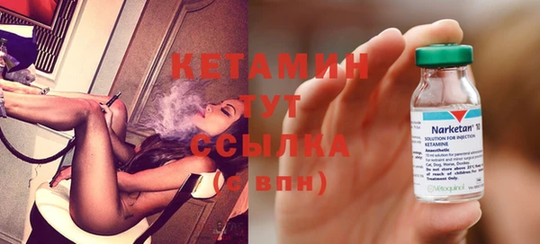 крисы Кулебаки