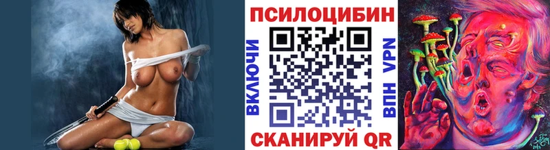 наркота  Обнинск  Галлюциногенные грибы Psilocybe 