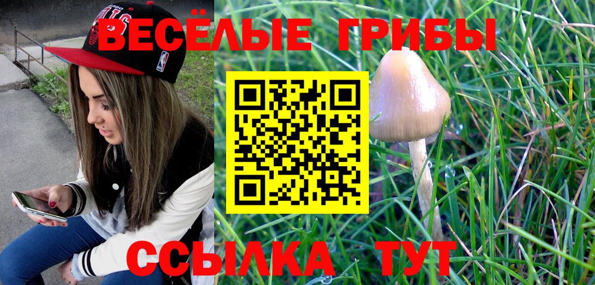 Галлюциногенные грибы Psilocybe  Псилоцибиновые грибы Psilocybine cubensis  Вход с VPN  закладки  Обнинск 